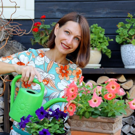 Які трави засушити наприкінці літа