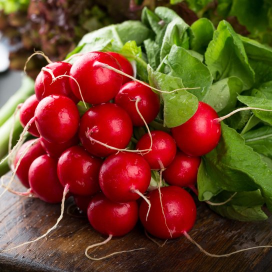 Редиска