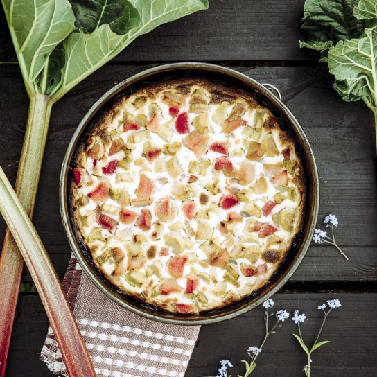 Пирог с ревенем и кисломолочным сыром