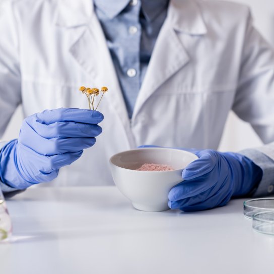 Вчений в синіх рукавичках з рослиною в руках