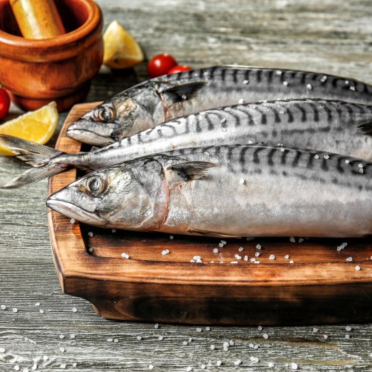 скумбрія свіжа