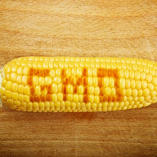 Чи варто боятися ГМО?