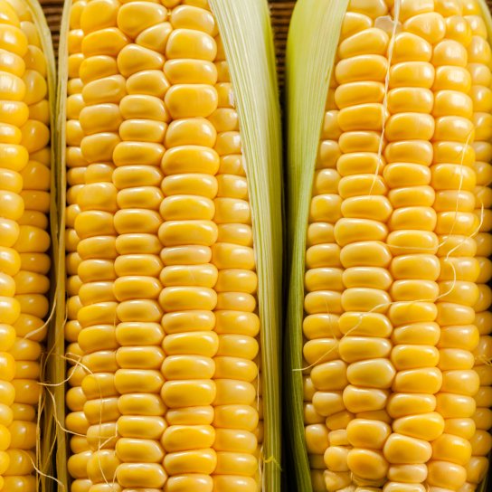 Користь кукурудзи