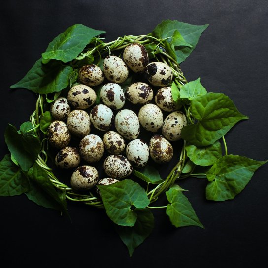 Перепелині яйця