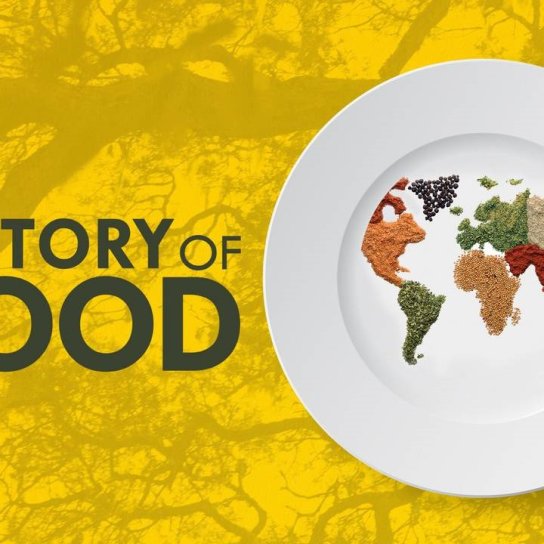 The History of Food Фото: https://www.hbomax.com