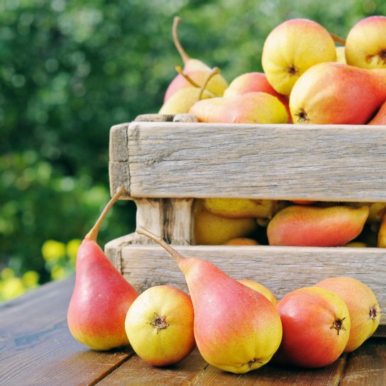 Спілі груші