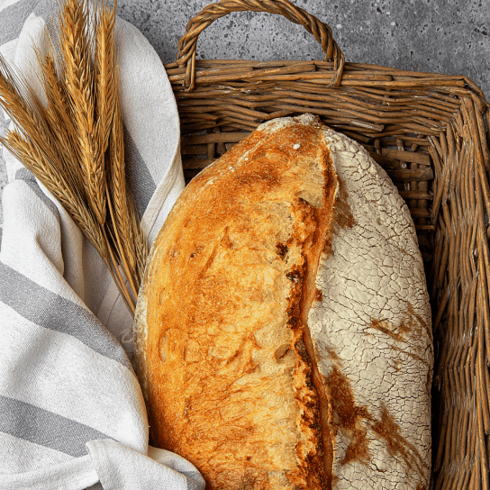Хліб