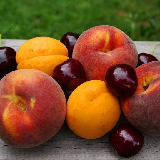 персики, вишня