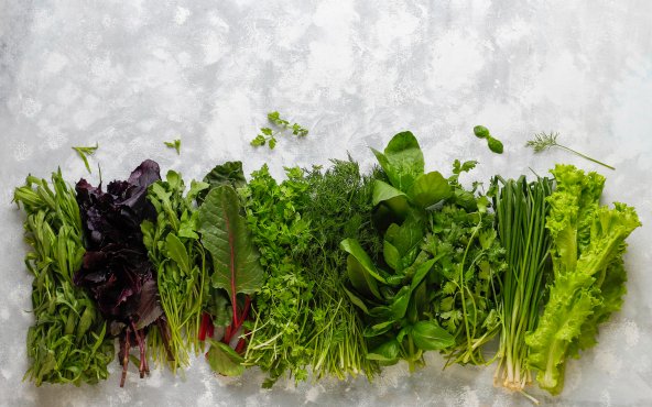 Салатная зелень
