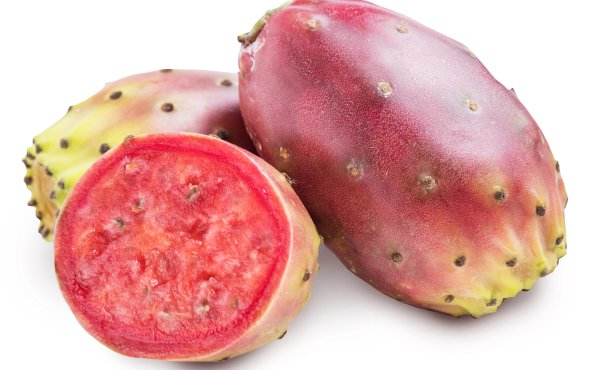 Плід кактуса