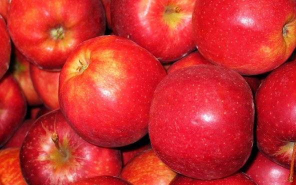 Яблуко гала