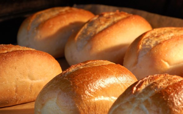 Хліб