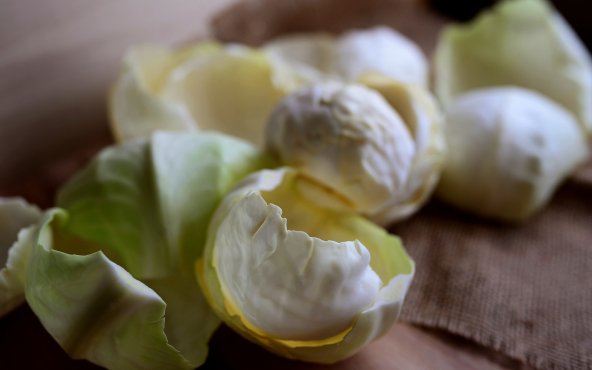 Капустяне листя