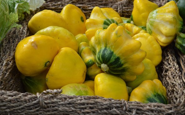 Патисони жовті