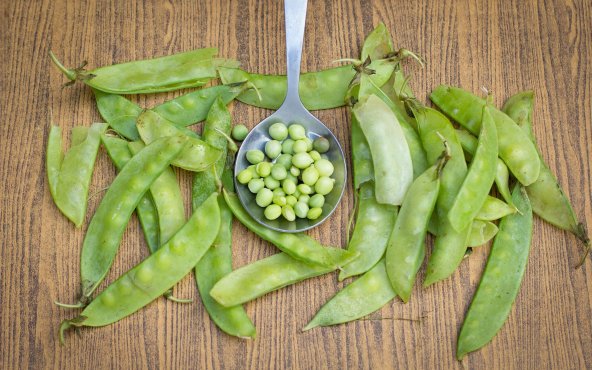 Зелений горошок