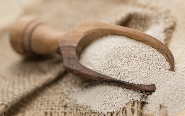 Дріжджі сухі