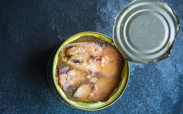 Скумбрія в олії