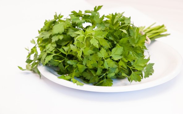 Пучок петрушки