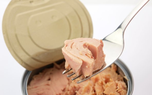 Тунець консервований