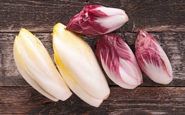 Салат цикорний