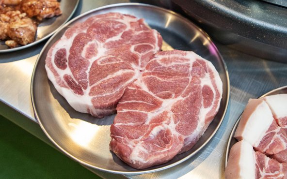 Свинячий ошийок