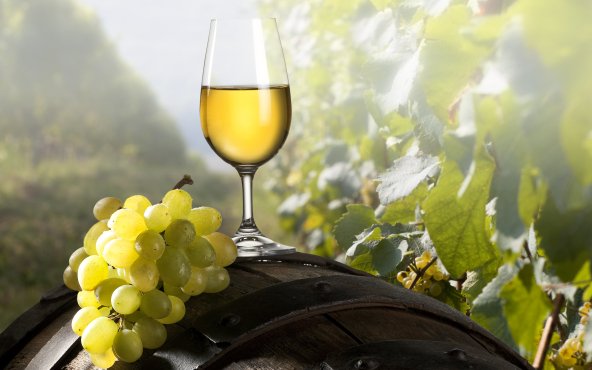 Вино белое полусладкое