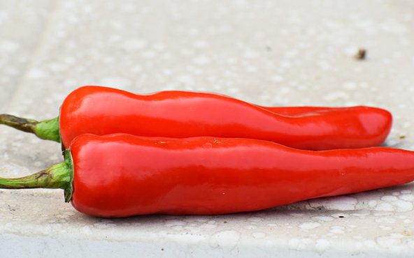 Перець алеппо