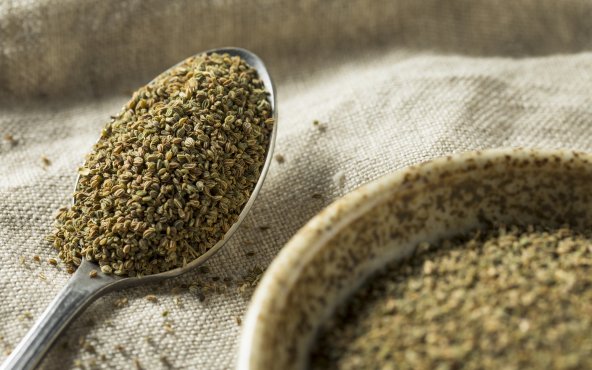 Селера, насіння