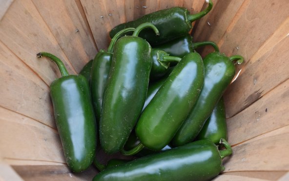 Чилі серрано