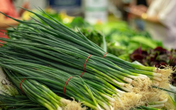 Зелена цибуля, пучок