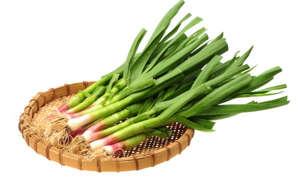 Чеснок молодой