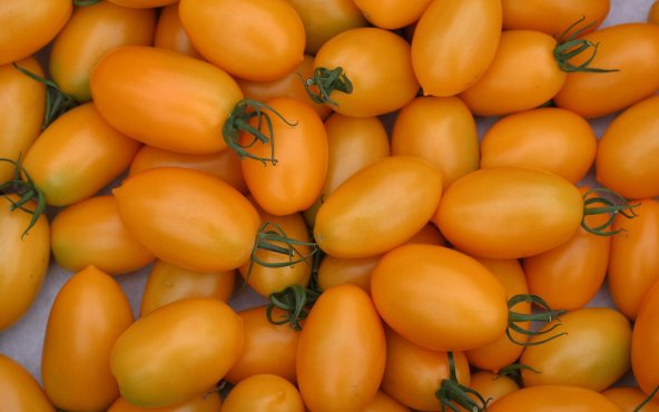 Томат желтый