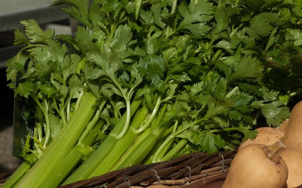 Сельдерей, листья