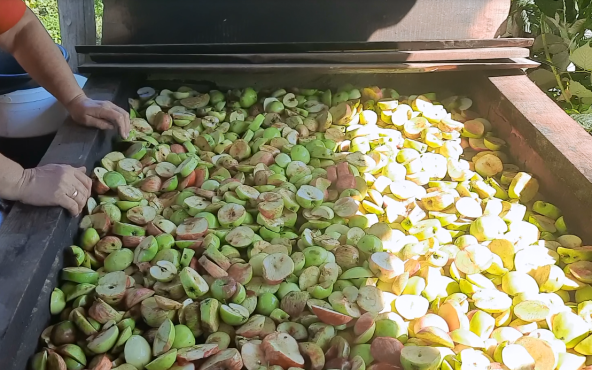 Приготування сушки з фруктів