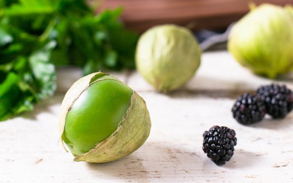 томатильйо