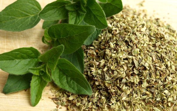 Орегано сушене