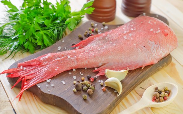 Морський окунь