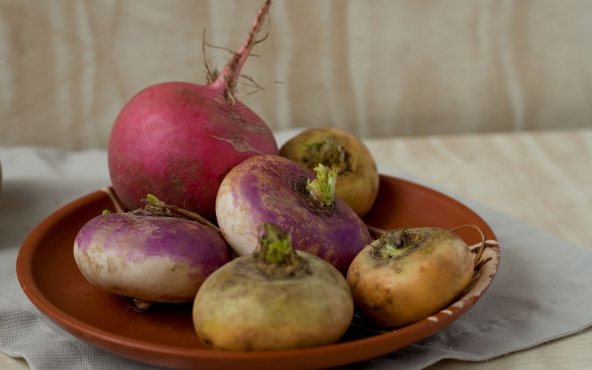 Редька червона