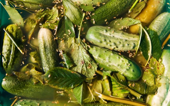 Малосольні огірки