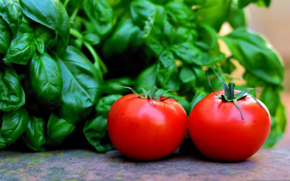 Томаты и базилик