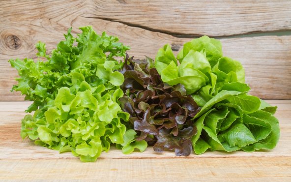Салат, листя