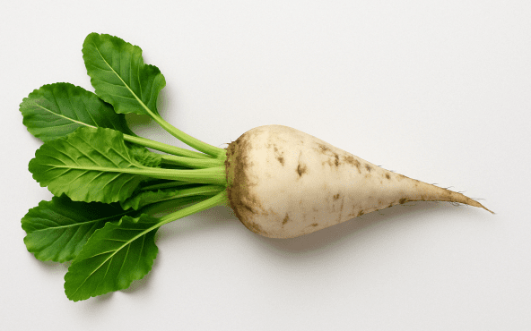 Цукровий буряк