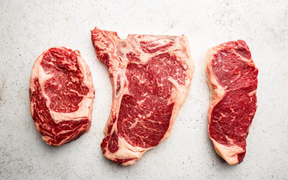 Яловича лопатка