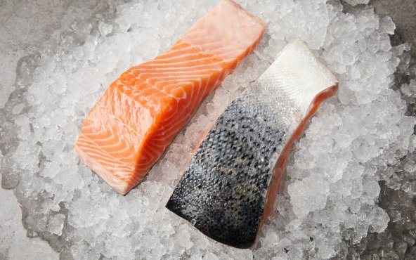 Лосось