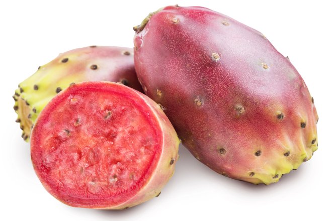 Плід кактуса