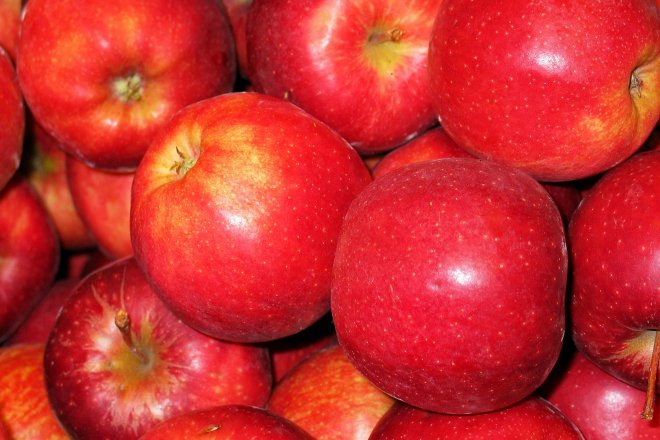 Яблуко гала