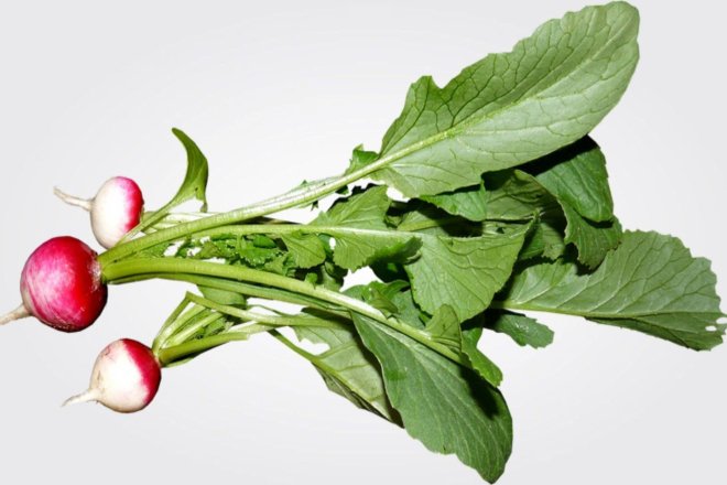 Редиска, листя