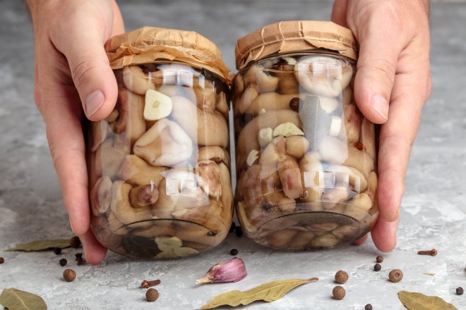 Маринованные маслята