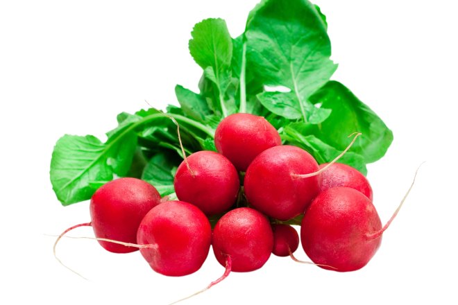 Редиска