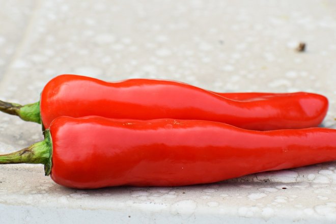 Перець алеппо